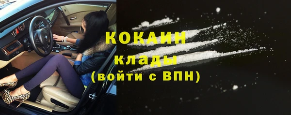стафф Аркадак
