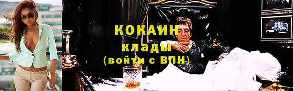 стафф Аркадак