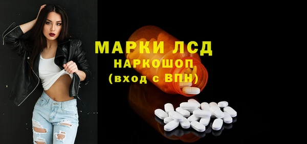 стафф Аркадак