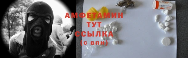 ПСИЛОЦИБИНОВЫЕ ГРИБЫ Арсеньев