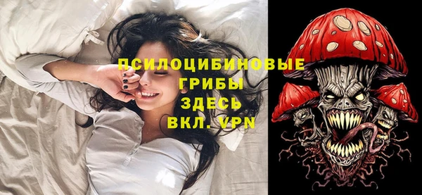 ПСИЛОЦИБИНОВЫЕ ГРИБЫ Арсеньев