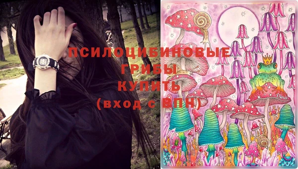 ПСИЛОЦИБИНОВЫЕ ГРИБЫ Арсеньев