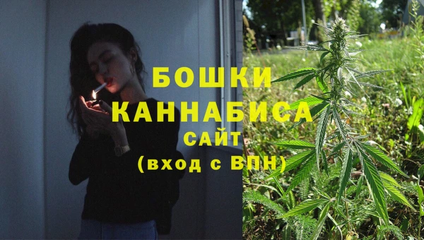стафф Аркадак